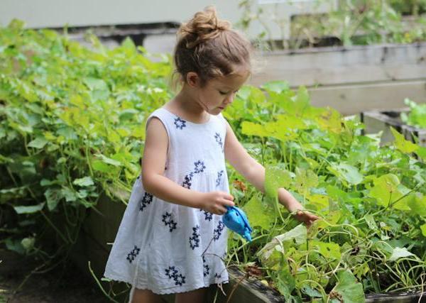 Tips for gardening with kids: Engaging children in the joys of gardening