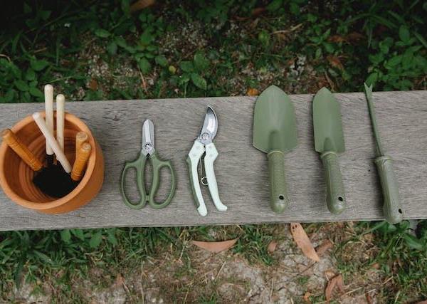 Gardening tool essentials - Must-have gear for basic maintenance